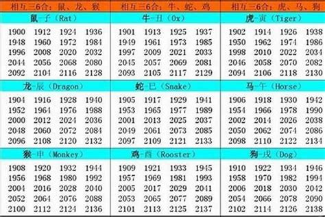 1982年出生|1982 年出生属什么生肖